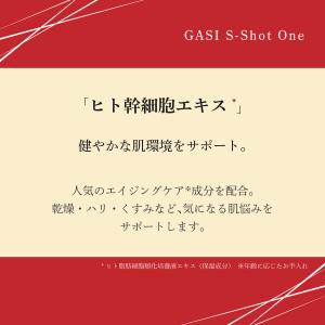 GASI エスショットワン 50g 【アウトレ...の詳細画像5