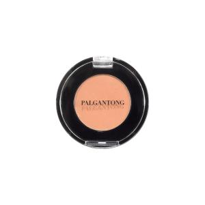 パルガントン アイシャドウ M01 / オレンジ マット 単色 シングル アイカラー