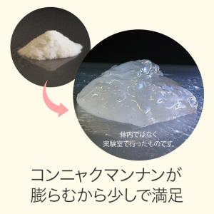 ぐーぴたっ 豆乳おからビスケット ショコラ 3...の詳細画像2