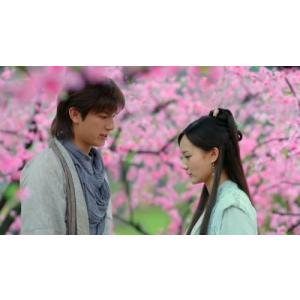 射雕英雄伝 レジェンド オブ ヒーロー Dvd Box 1 2 3の全巻セット Texascashandpawn Com