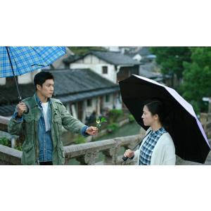愛される花 DVD-BOX1(6枚組)<シンプ...の詳細画像2