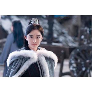 斛珠<コクジュ>夫人〜真珠の涙〜 DVD-BO...の詳細画像2