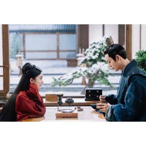 斛珠<コクジュ>夫人〜真珠の涙〜 DVD-BO...の詳細画像4