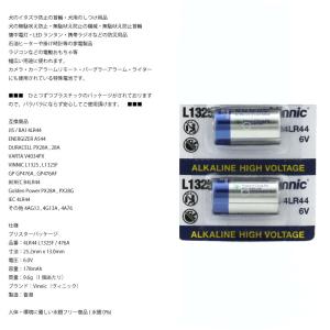 Vinnic 4LR44 ×2個 ヴィニック ...の詳細画像1