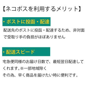 vinnic 単6形(AAAA LR61) ×...の詳細画像2