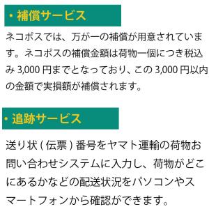 vinnic 単6形(AAAA LR61) ×...の詳細画像3