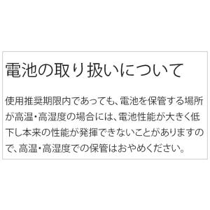 VINNIC CR2450 ×10個 CR24...の詳細画像3