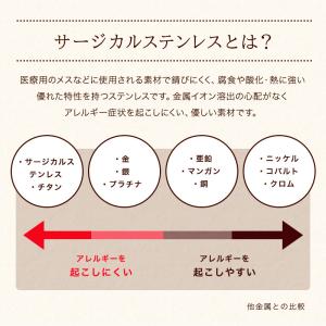 ピアス ニッケルフリー 2個売り 両耳用 ステ...の詳細画像2