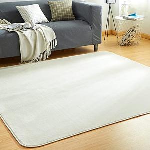 VK Living カーペット ラグ 洗える 滑り止め付 防ダニ 抗菌 防臭 200*300cm 12色選べる 1年中使えるタイプ 床暖房 ホットカーペット対応 ふわっと手触