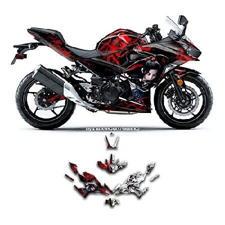 Kungfu Graphics Custom Decal Kit for Kawasaki Ninj...