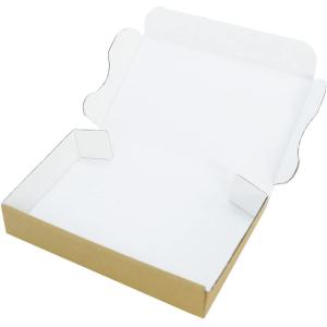 アースダンボール ダンボール 定形外郵便 規格内 最小 厚み3cm 内白 1000枚 134×82×24mm 段ボール 梱包 ID0322