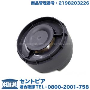 Mercedes-Benz セキュリティA219820322664 新品　未使用 Mercedes-Benz（メルセデス・ベンツ） 純正品 盗難防止用 セキュリティ