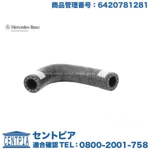 Mercedes-Benz（メルセデス・ベンツ） 純正品 クランプ 0069971890