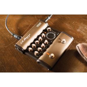 送料無料) Fishman フィッシュマン ToneDEQ Preamp EQ