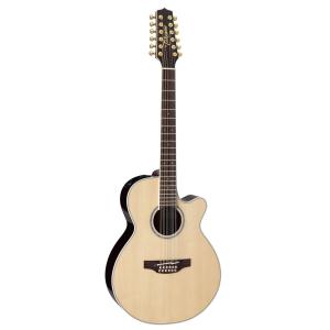送料無料) Takamine (タカミネ) DMP200 N アコースティックギター