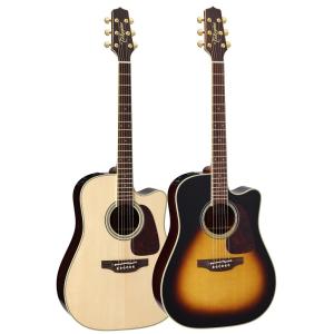 ARIA（アリア） Aria AD-35N Acoustic Guitar アコースティックギター