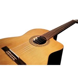 送料無料) Fishman フィッシュマン Matrix Infinity VT Pickup