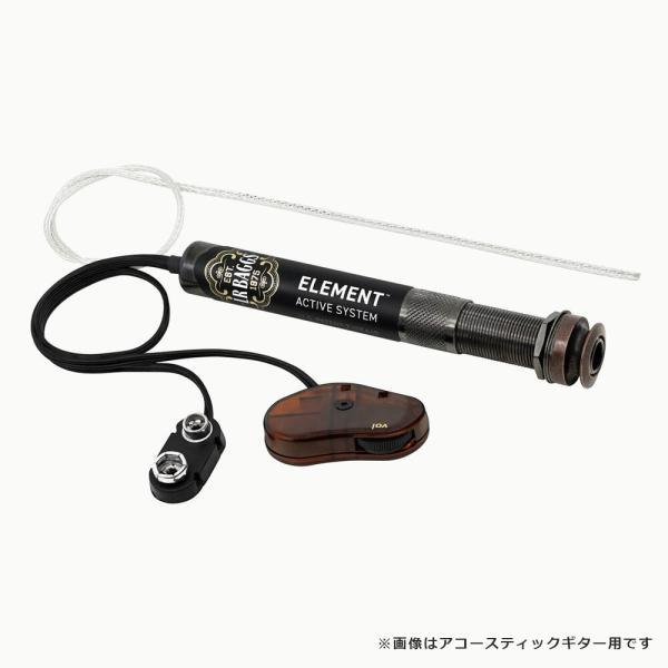 (送料無料)   L.R.Baggs Element Active for Nylon クラシックギ...