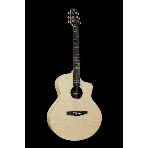 (数量限定特価)Natasha Guitar ...の詳細画像1