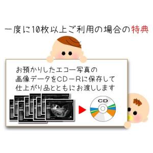 エコー写真 複製 プリント 長期 保存 プリン...の詳細画像4