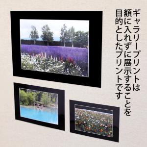 ギャラリープリント 4PWサイズ 高級額縁に入...の詳細画像2