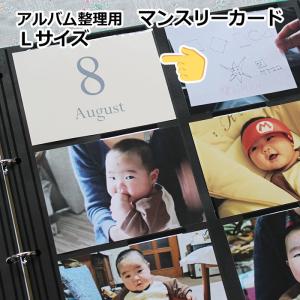 ナカバヤシ アルバム用カード Nakabayashi×OURHOME マンスリーカード