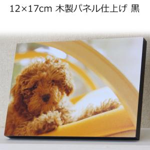 写真入り プレゼント フォトフレーム 誕生日 記念日 写真立て おしゃれ 木製 パネル 仕上げ 12×17cm お好みの写真パネルに