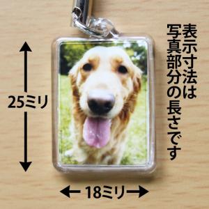 写真入りストラップ ギフト 誕生日 記念日 プ...の詳細画像1