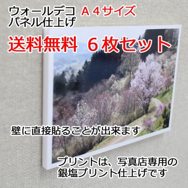 壁アルバム ウォールデコ A4サイズ 6枚セット プレゼント ギフト 送料無料 フォトパネル仕上げ ...