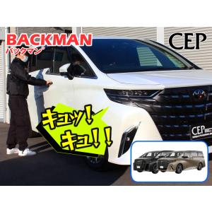 20系アルファード・ヴェルファイア専用 ルーフイルミネーション