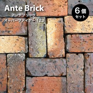 レンガ 庭 ガーデン おしゃれ アンティークレンガ アンテブリック オーバーファイヤー 123 ケース 6個入 販売 Anab2195 Ab 123 壁材コレクションストア セラコア 通販 Yahoo ショッピング