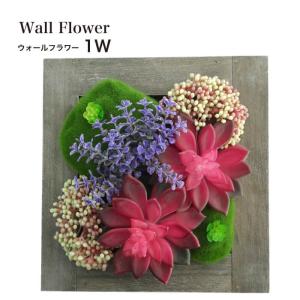 CeraCore（セラコア） フェイクグリーン 多肉植物 造花 フレーム 壁