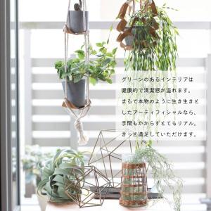 アーティフィシャル エアープランツ 造花 イン...の詳細画像1