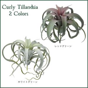 アーティフィシャル エアープランツ 造花 イン...の詳細画像2