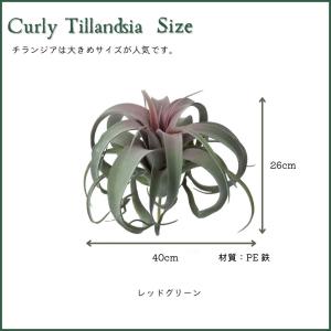 アーティフィシャル エアープランツ 造花 イン...の詳細画像3