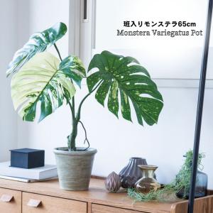 茶道具 花入 三重切 竹花入 : 茶道具 月香園 - 通販 - Yahoo!ショッピング