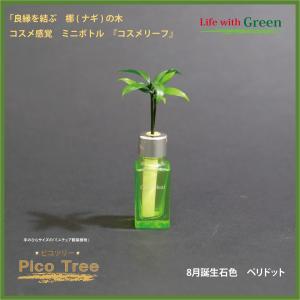 セラハイト 風水であなたの運気をアップする Yahoo ショッピング