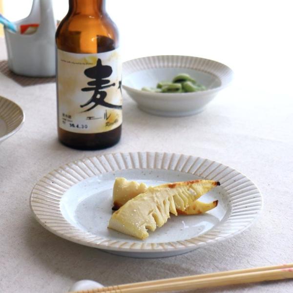 ラジアル 6寸 中皿 19.5cm 国産 美濃焼 リム型6.0皿 丸皿 小皿 取り皿 取り分け皿 中...