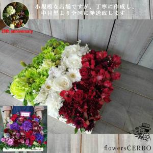 イタリア国旗 花 ガーデニング の商品一覧 通販 Yahoo ショッピング