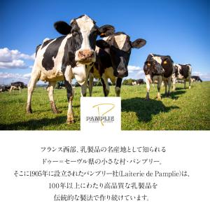 パンプリー[PAMPLIE]有塩 AOP 発酵...の詳細画像1