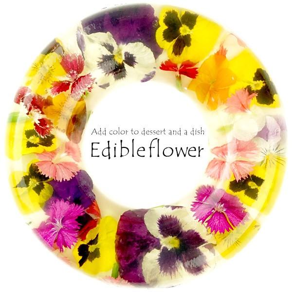 エディブルフラワー 選り取り [ミックス・なでしこ・パンジー・ビオラ]  [冷蔵]  [賞味期限：発...