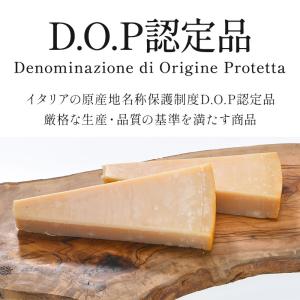 パルミジャーノ レジャーノ 200g×5パック...の詳細画像2