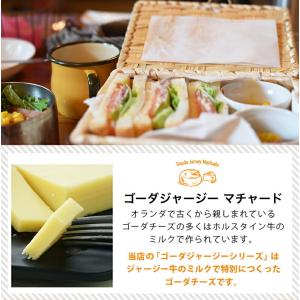 ゴーダジャージー マチャード 90gカット[冷...の詳細画像2