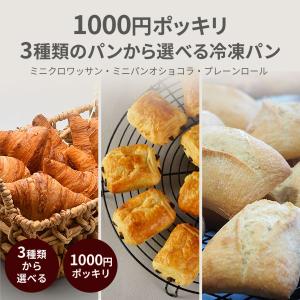 1000円ポッキリ 冷凍パン フランス産 3種類から選べる