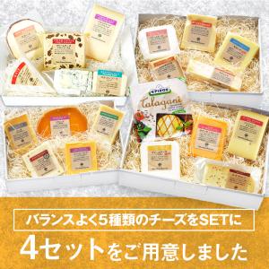 [選べるチーズBOX] チーズ5個セット 盛り...の詳細画像2