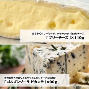 [選べるチーズBOX] チーズ5個セット 盛り...の詳細画像5