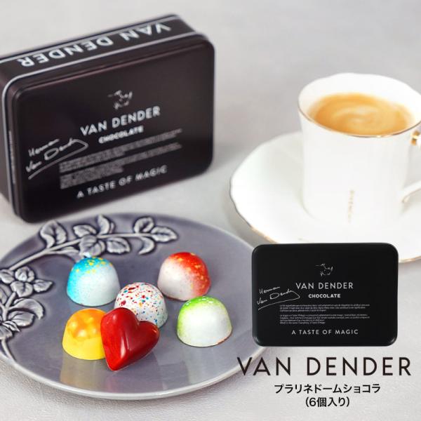 VANDENDER プラリネドームショコラ（6個入り）【1〜2営業日以内に出荷】［常温/冷蔵］［手提...