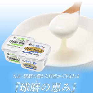 球磨の恵みヨーグルト 1kg×4パック よりど...の詳細画像2