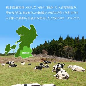 球磨の恵みヨーグルト 1kg×4パック よりど...の詳細画像3