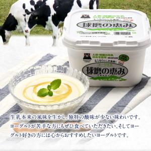 球磨の恵みヨーグルト 1kg×4パック よりど...の詳細画像4